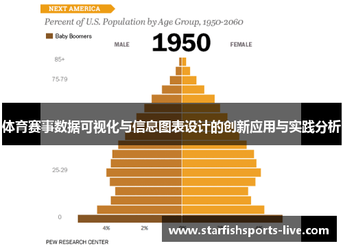 体育赛事数据可视化与信息图表设计的创新应用与实践分析